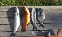 Un jour de peche sous marine